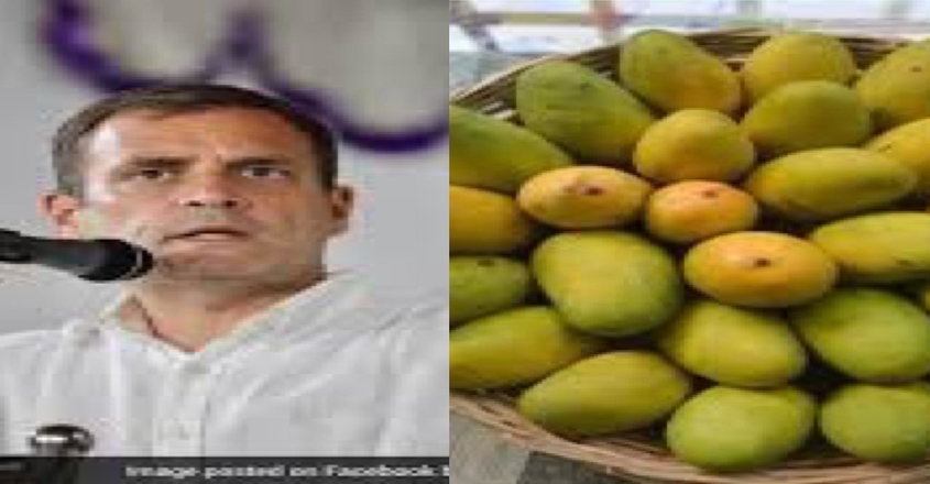 rahul-gandhi-comments-up-mangoes-controversy-