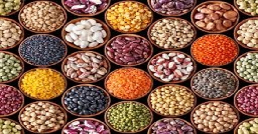 pulses-healthy-life-style