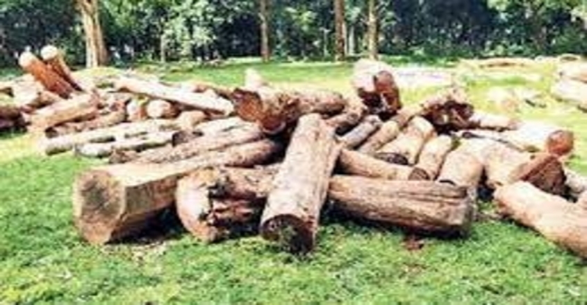 muttil-timber-scam-police-registered-case-68-persons-including-tribals-named