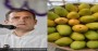 rahul-gandhi-comments-up-mangoes-controversy-